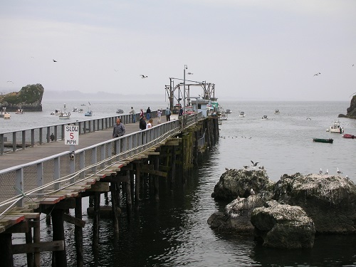 Trinidad pier